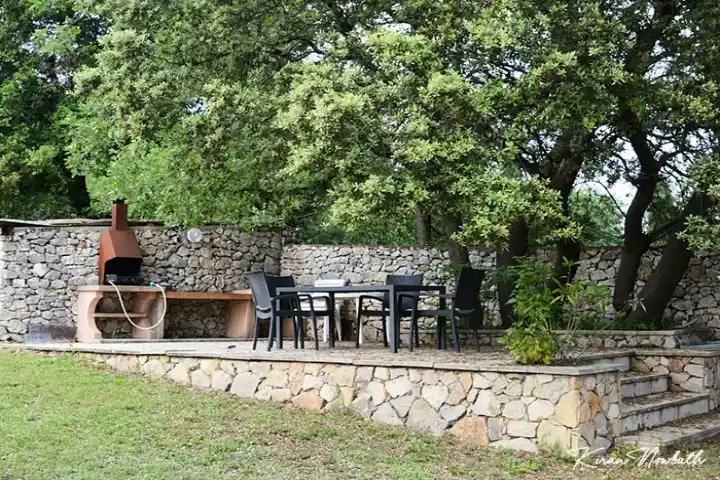 barbecue plancha