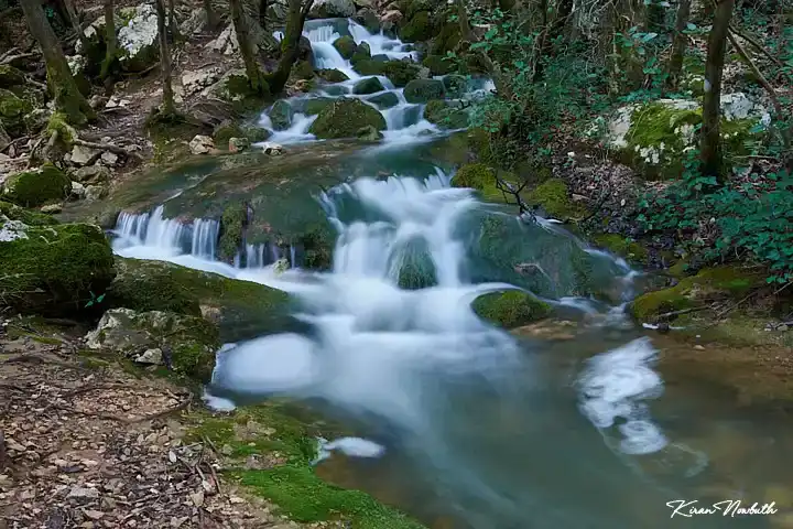 La Source de l'Huveaune