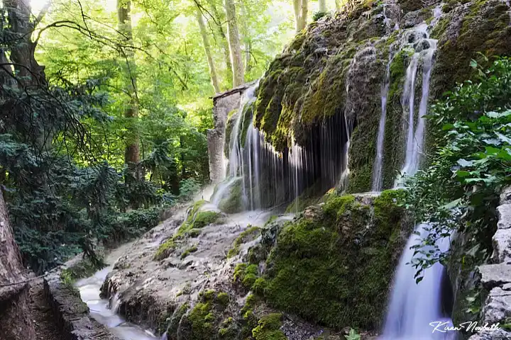 Le Parc de Gemenos