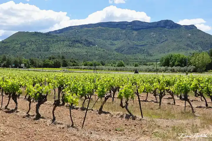 Mont Aurélien (Pourcieux)