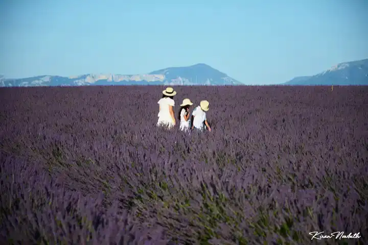 Valensole