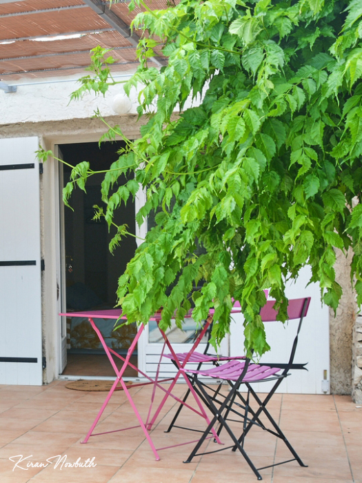 Studio terrasse 2